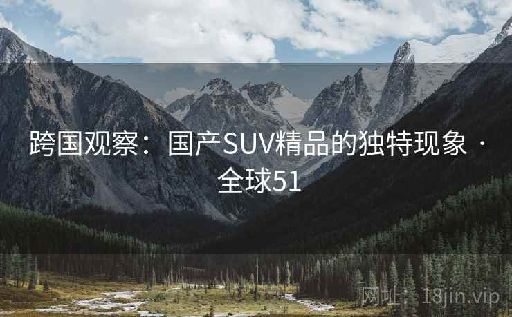跨国观察：国产SUV精品的独特现象 · 全球51
